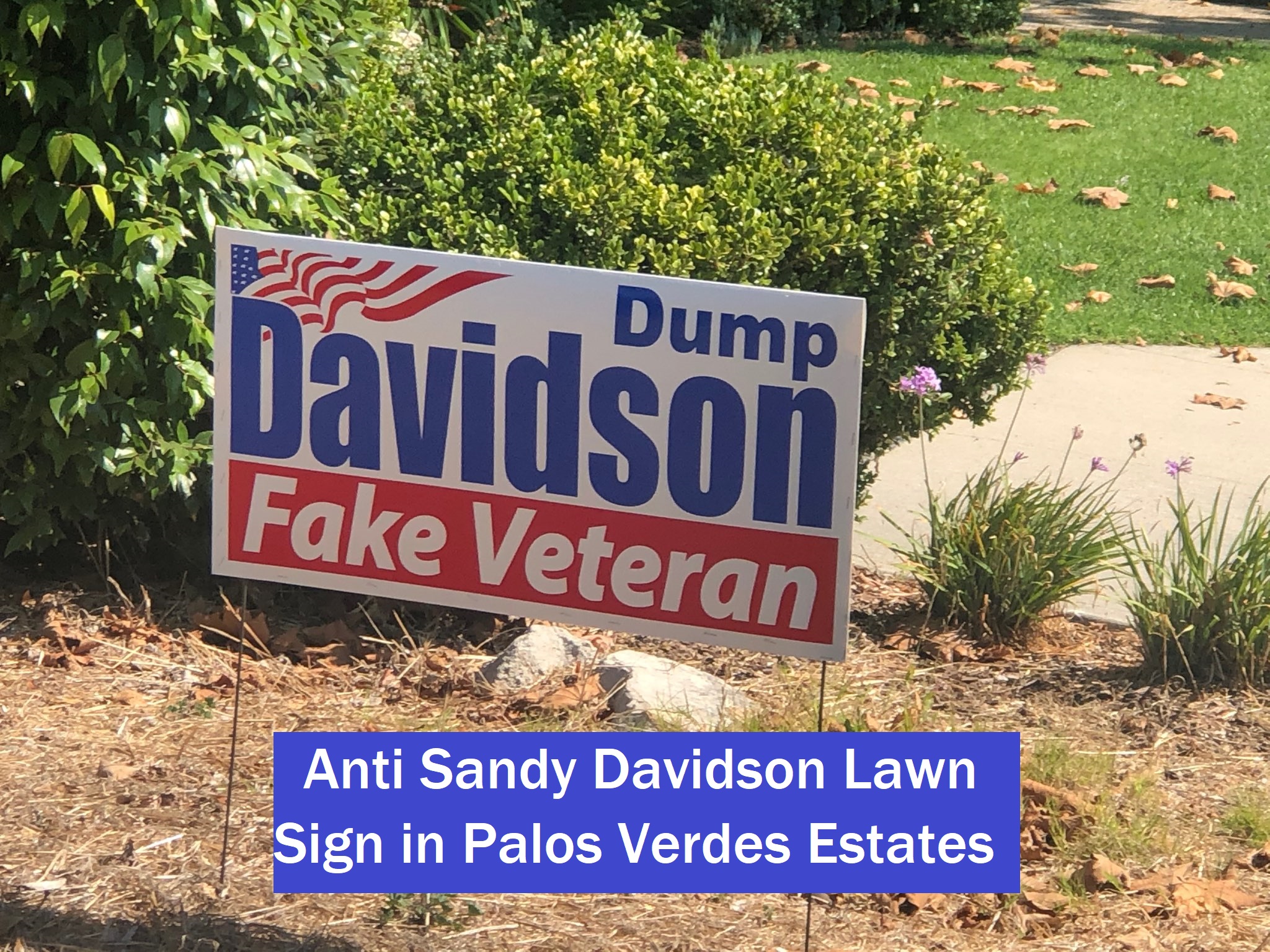 Dump Davidson Lawn Sign - Annotated